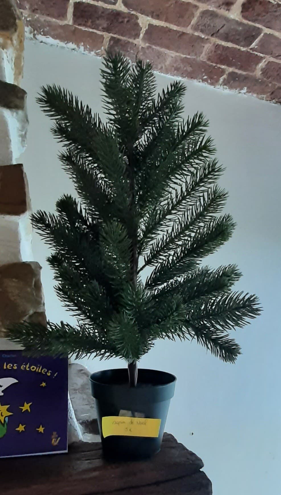 PETIT SAPIN